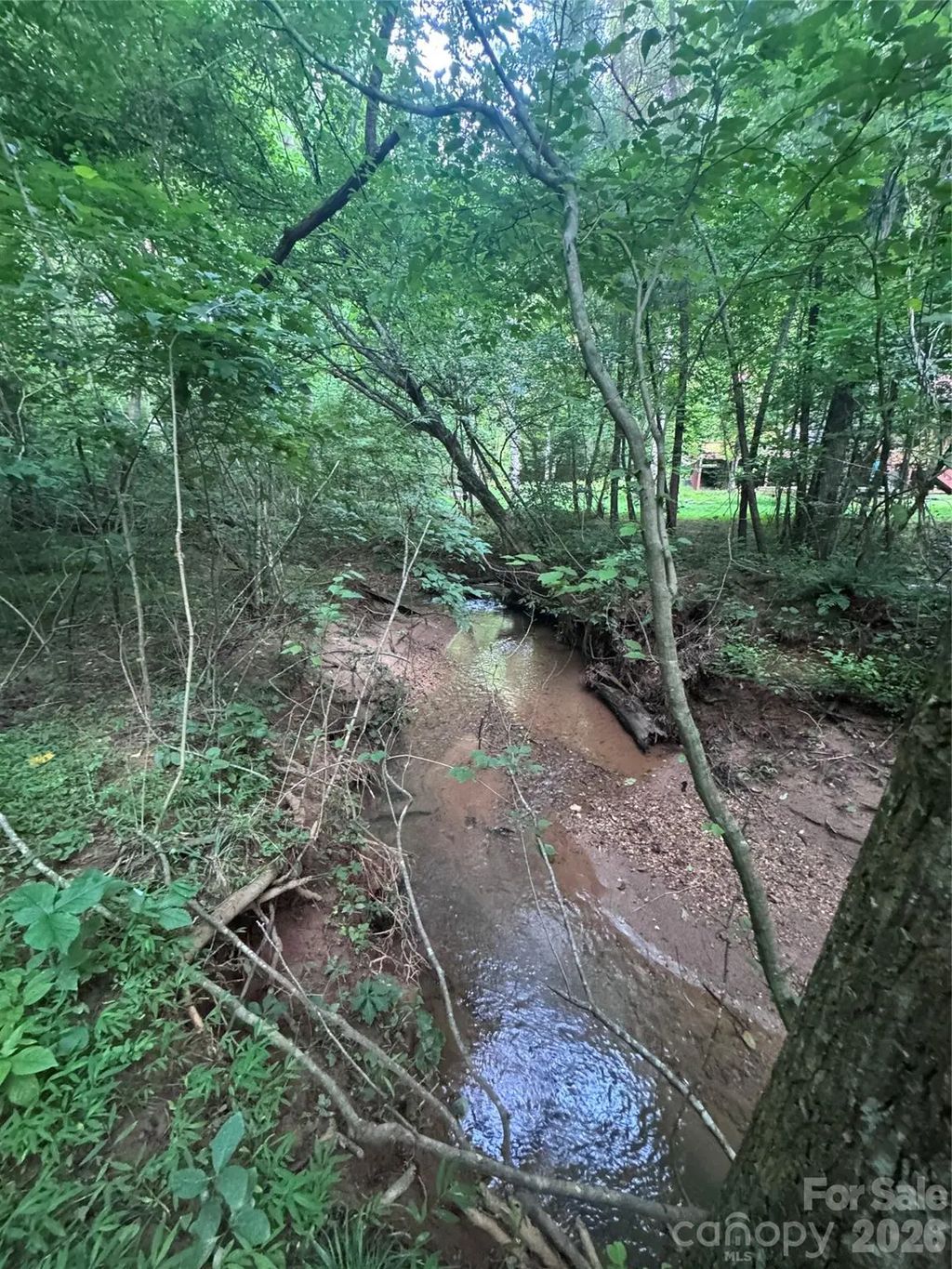 0 Clearwater Parkway 203, Rutherfordton