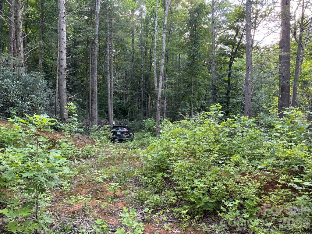 Lot 41 Peace Wood Lane 41, Hendersonville