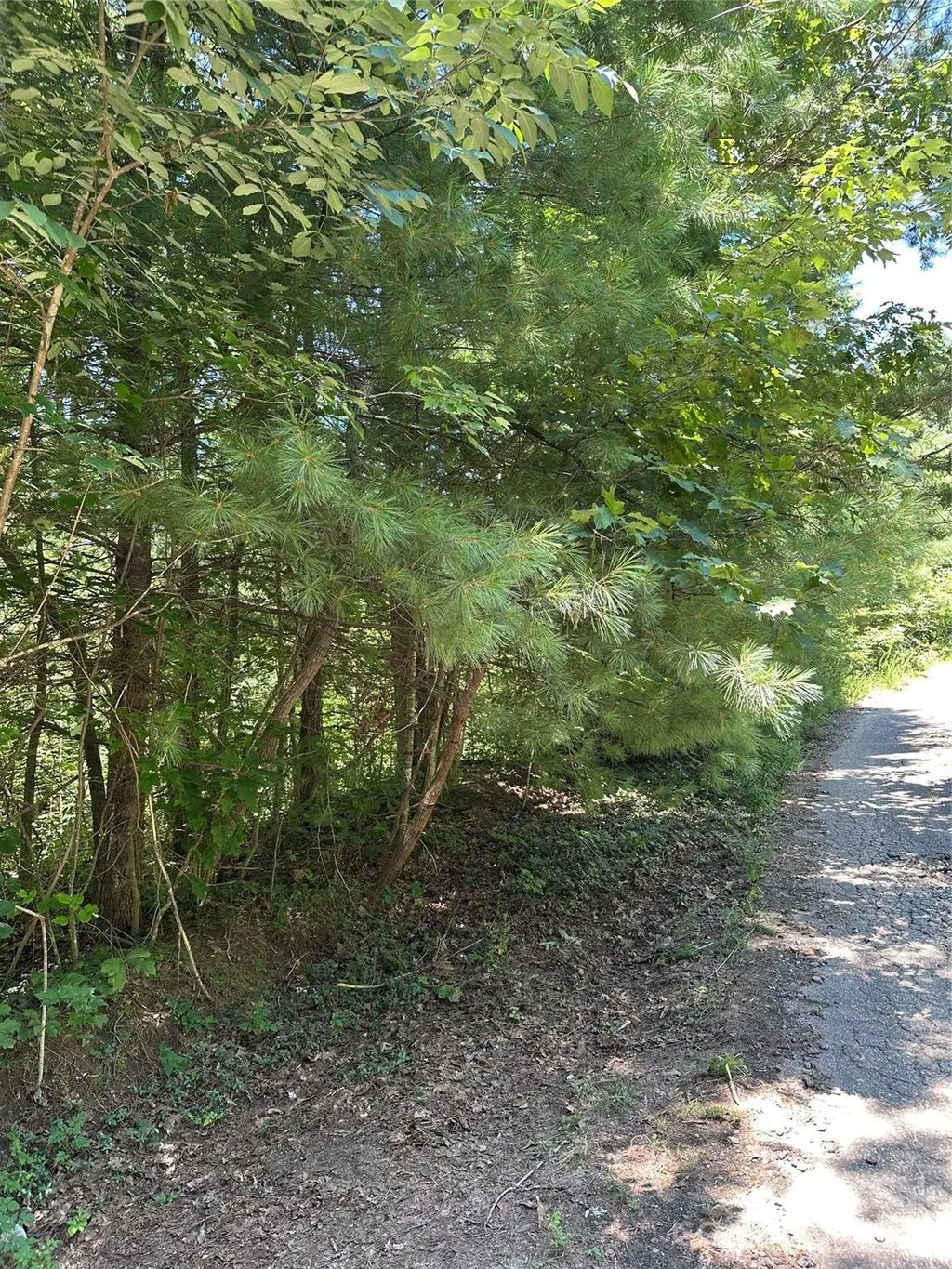 3960 Winston Drive, Morganton