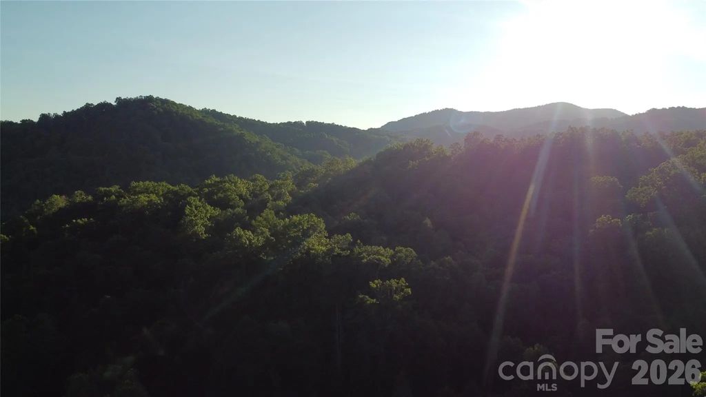 0000 Havens Creek Road 4, Black Mountain