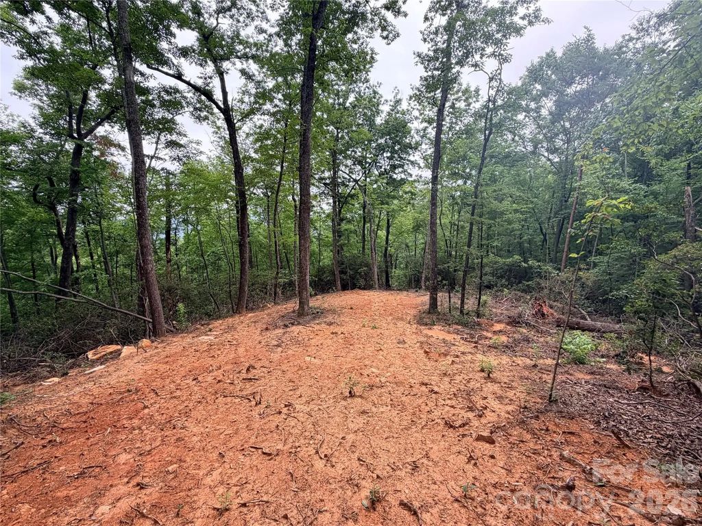 0 Harrison Drive, Lake Lure
