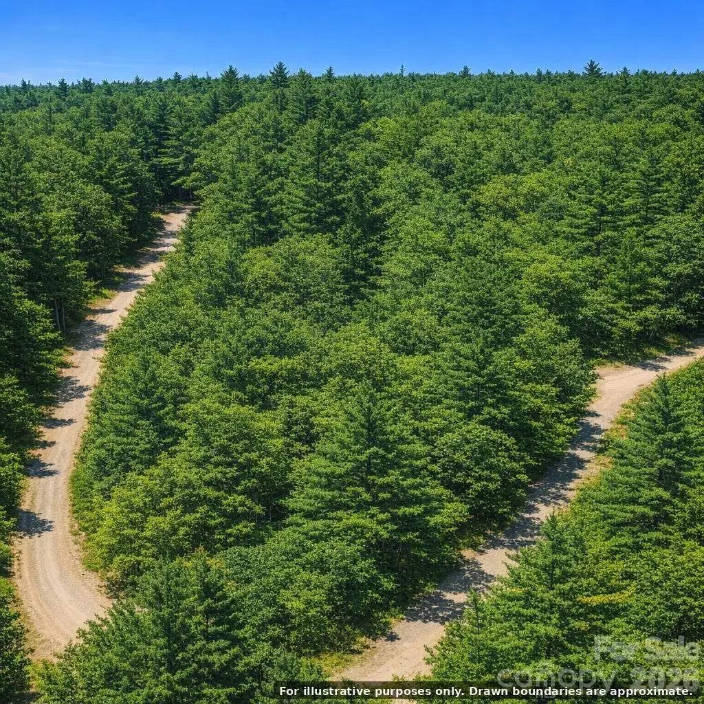 Lot 124 Trellis Drive, Nebo