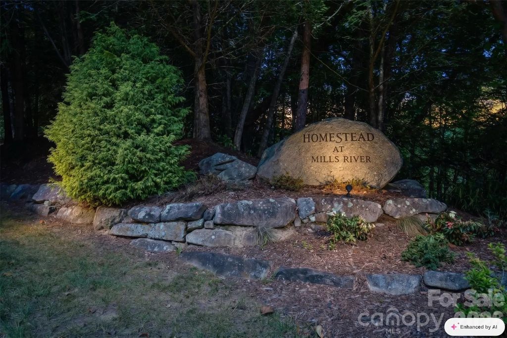 838 Mills River Way, Horse Shoe