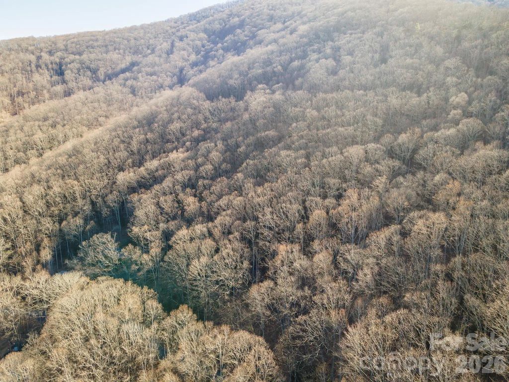 00 Wildflower Cove Road 18, Swannanoa