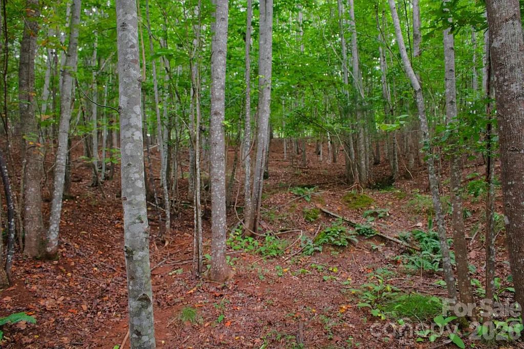 0 Creekside Circle 110, Rutherfordton