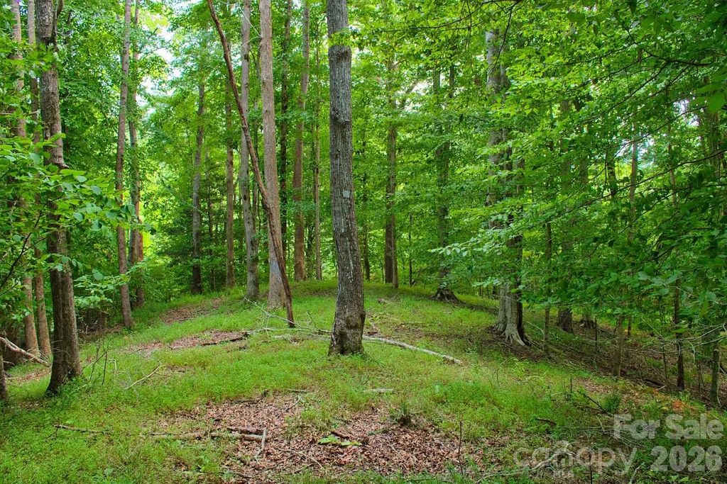 0 Cross Creek Drive 136+136a, Rutherfordton