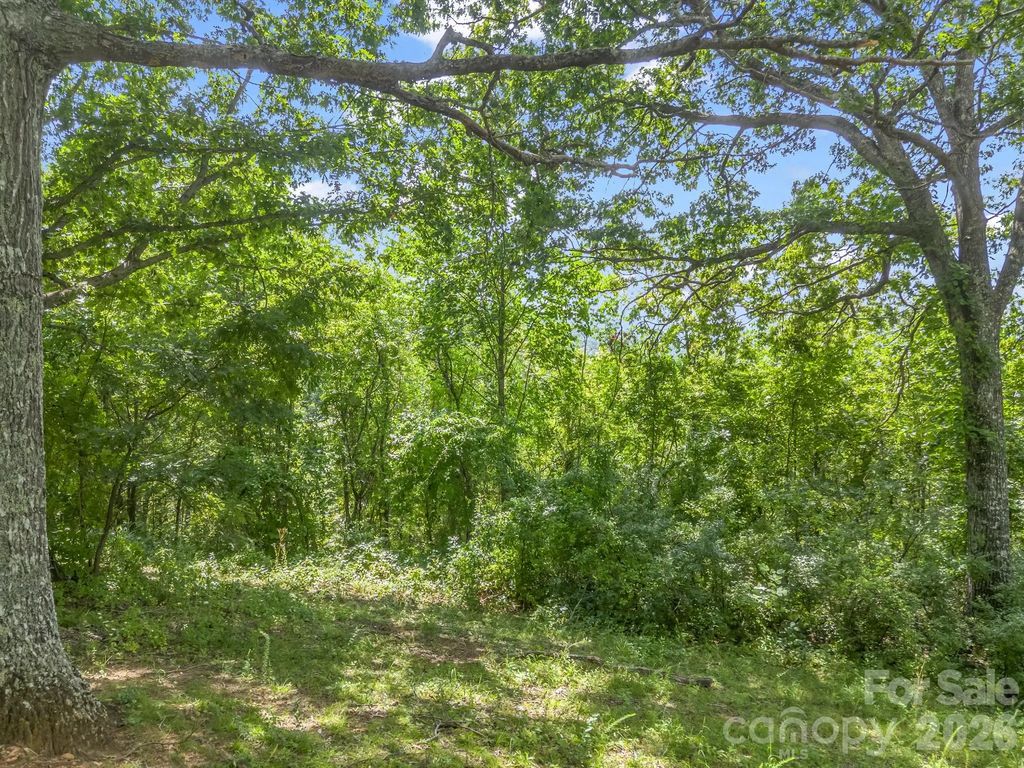 61 Sugar Maple Drive, Black Mountain