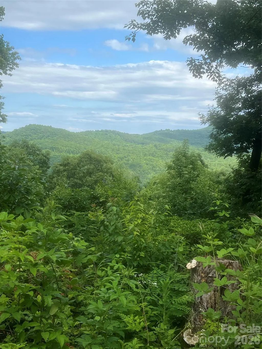 71, 72, 73 High Peak Road, Hendersonville