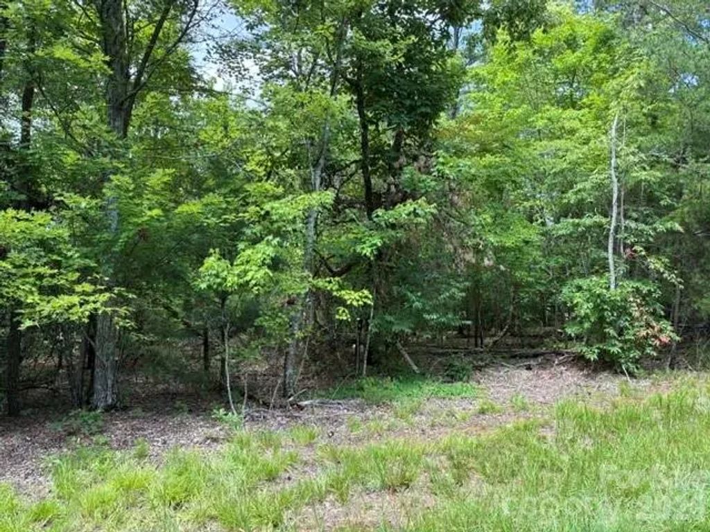 Lot 32 Justice Drive 32, Lake Lure