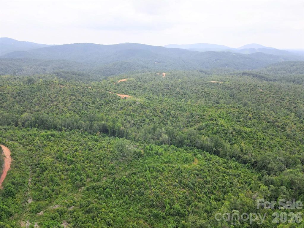0 Youngs Creek Road, Morganton