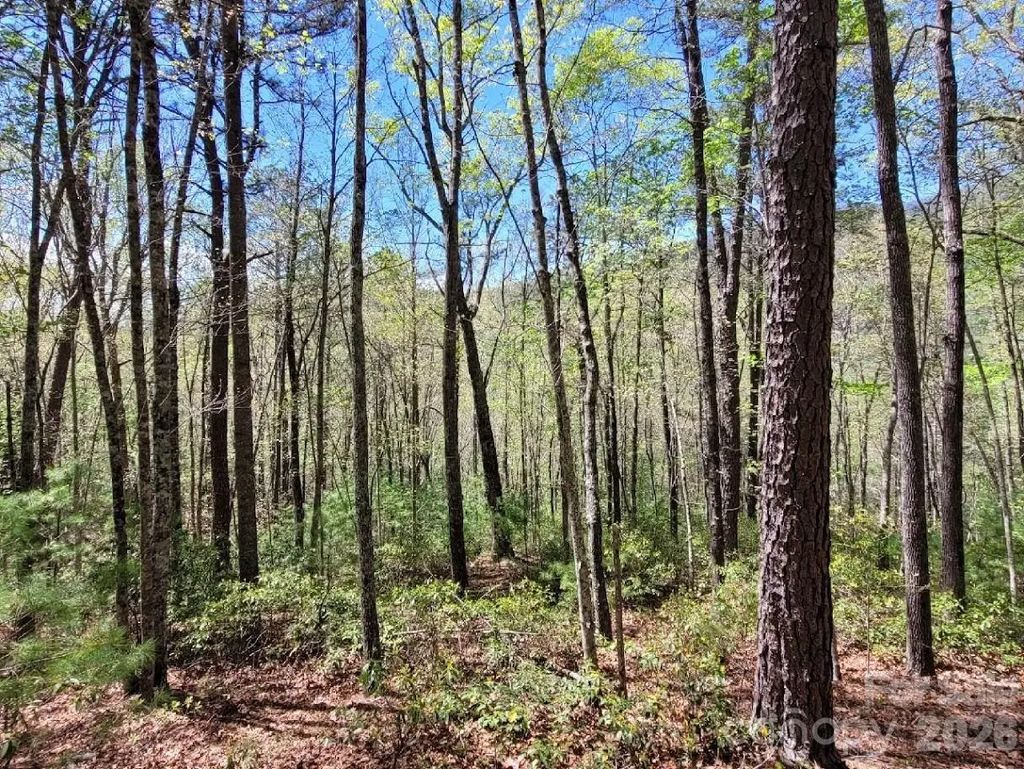 Lot 21 Little Fox Run, Marion