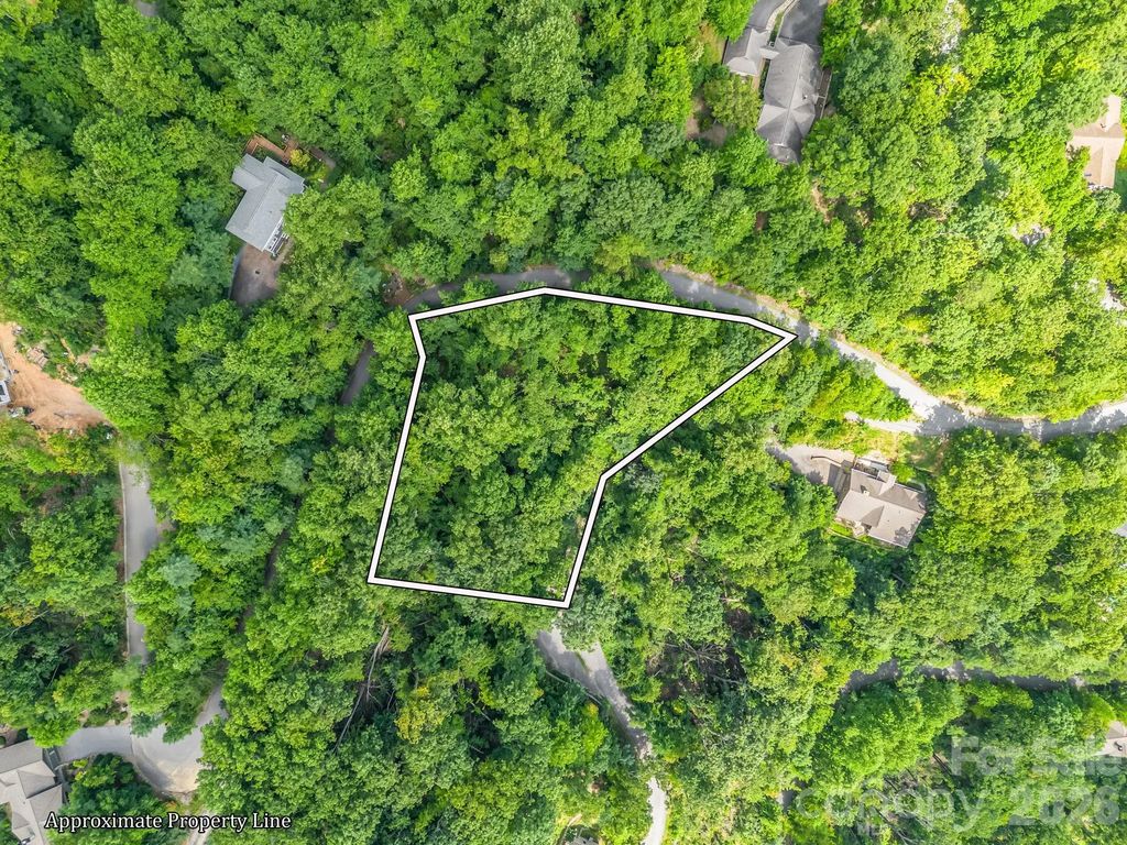 99999 Crestview Drive A11, Black Mountain