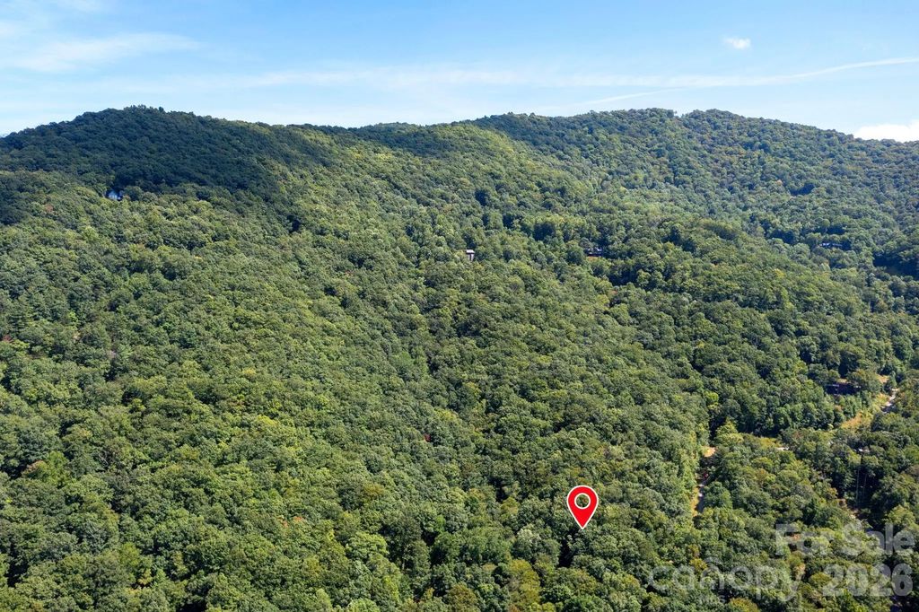 1250 Arborcrest Way 43, Swannanoa