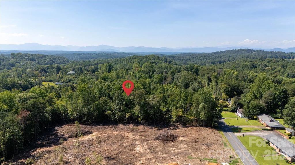 Tbd Pinkwood Drive, Rutherfordton
