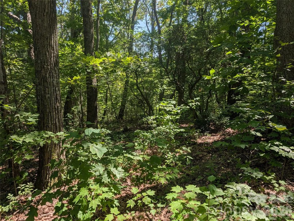 1824 Old Mill Road, Hendersonville