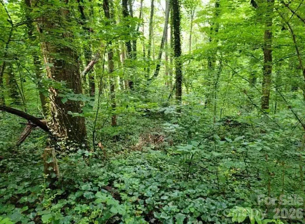 0 Rock Broad River Road 21, Hendersonville