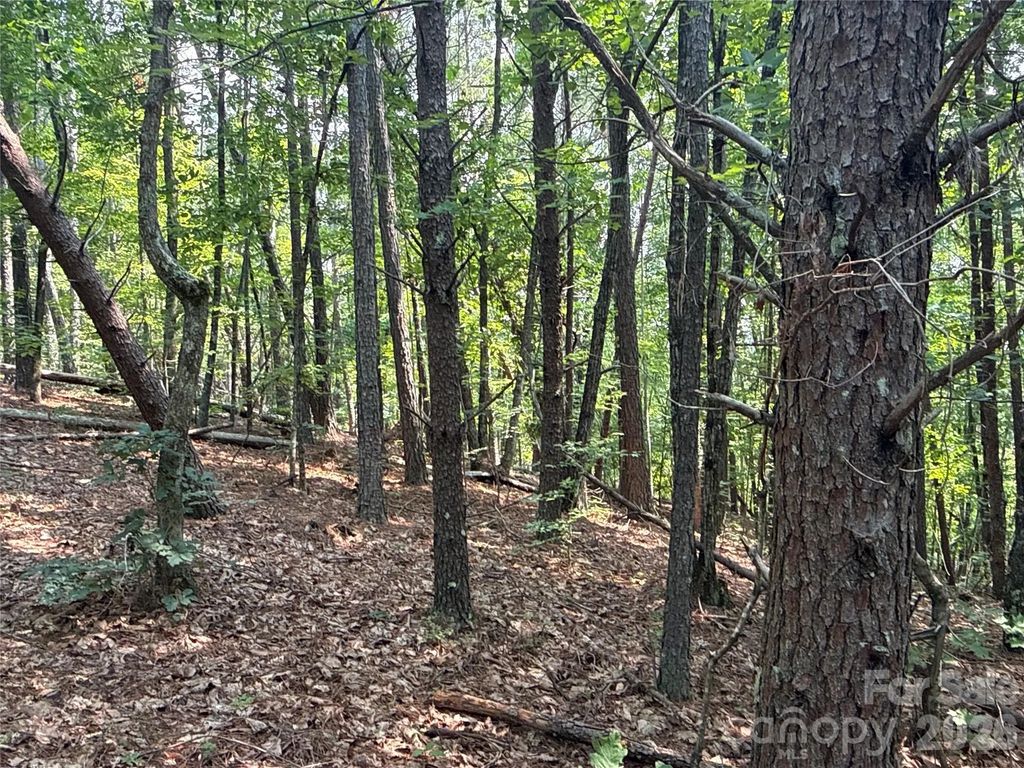 242 Golden Creek Ridge, Union Mills