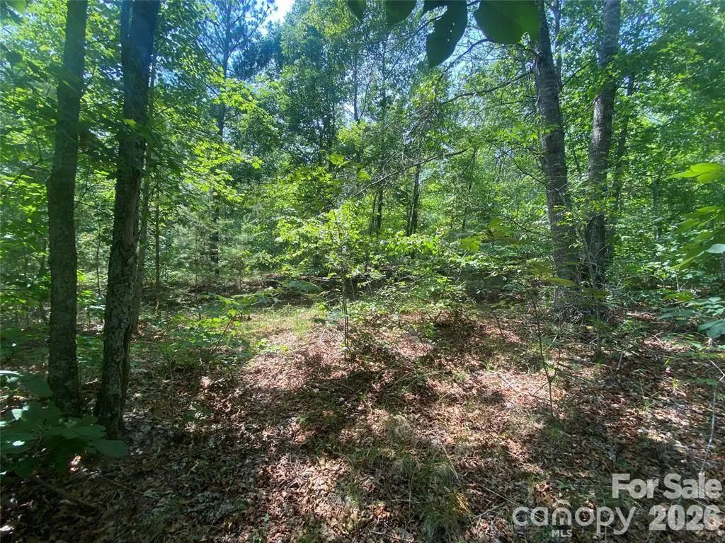 65 Stellar View Drive 6, Union Mills