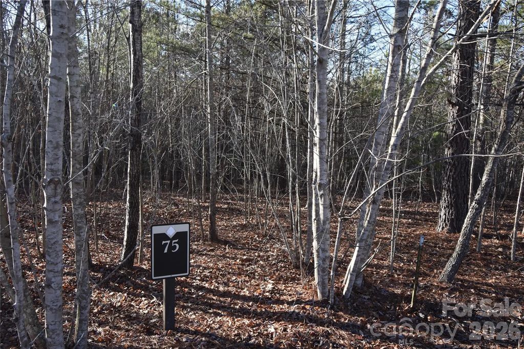 Lot 75 Tayberry Drive, Nebo