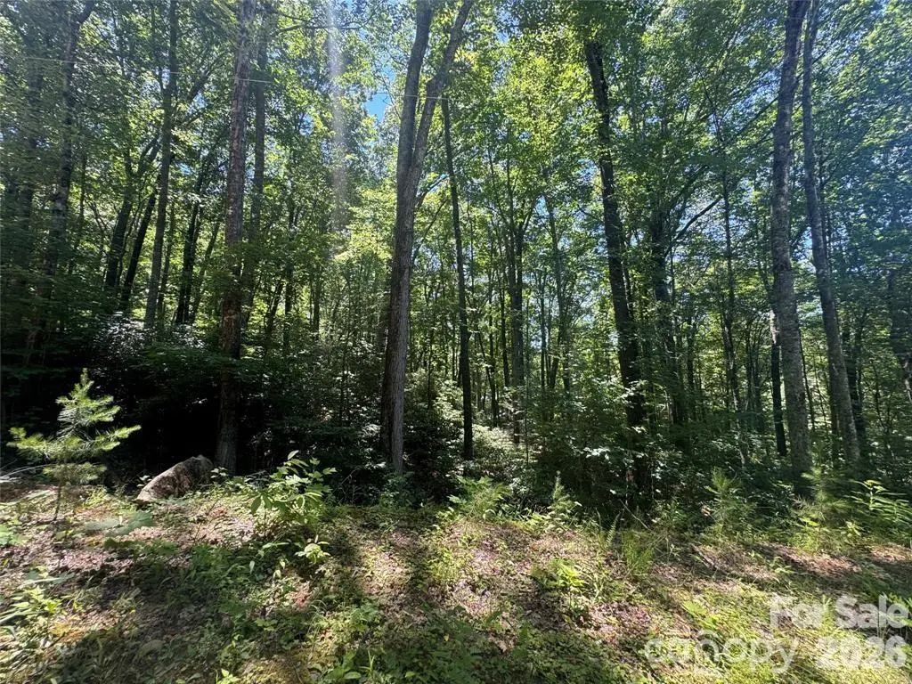 165 N Poplar Drive, Lake Lure