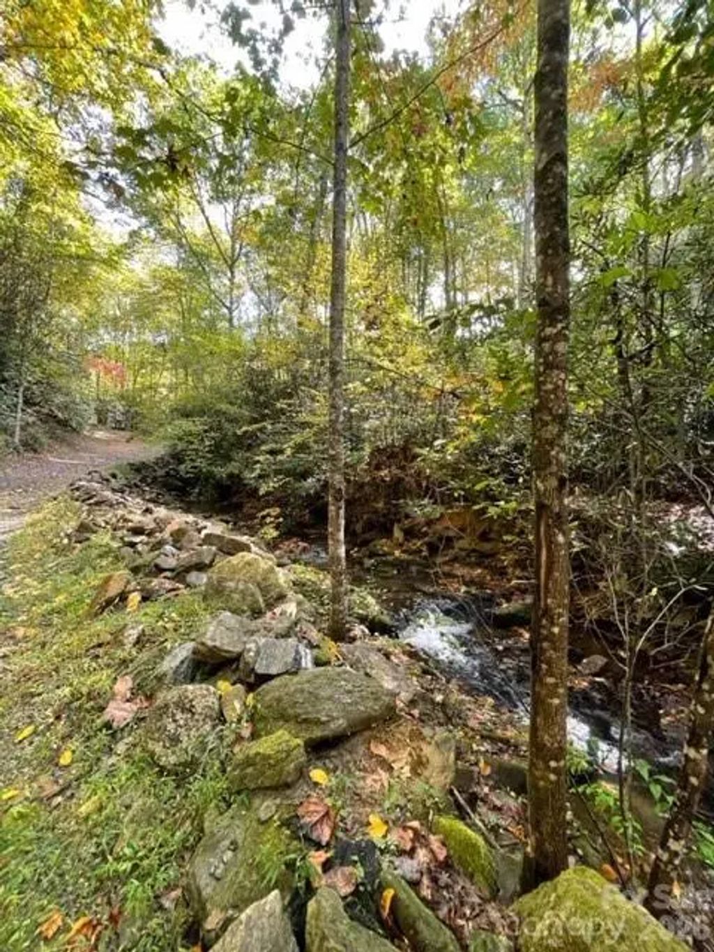 724 Blackgum Court #350, Hendersonville