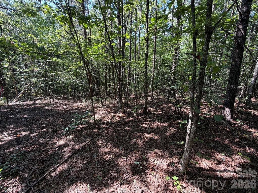 476 Southern Way, Nebo