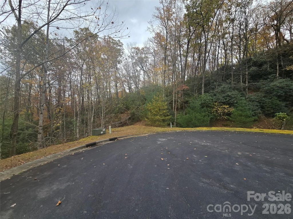 0 Shining Rock Path 17r, Mills River