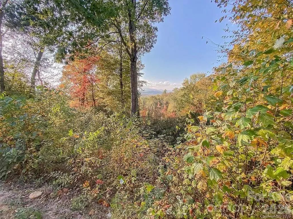 215 Crossvine Trail 11, Hendersonville