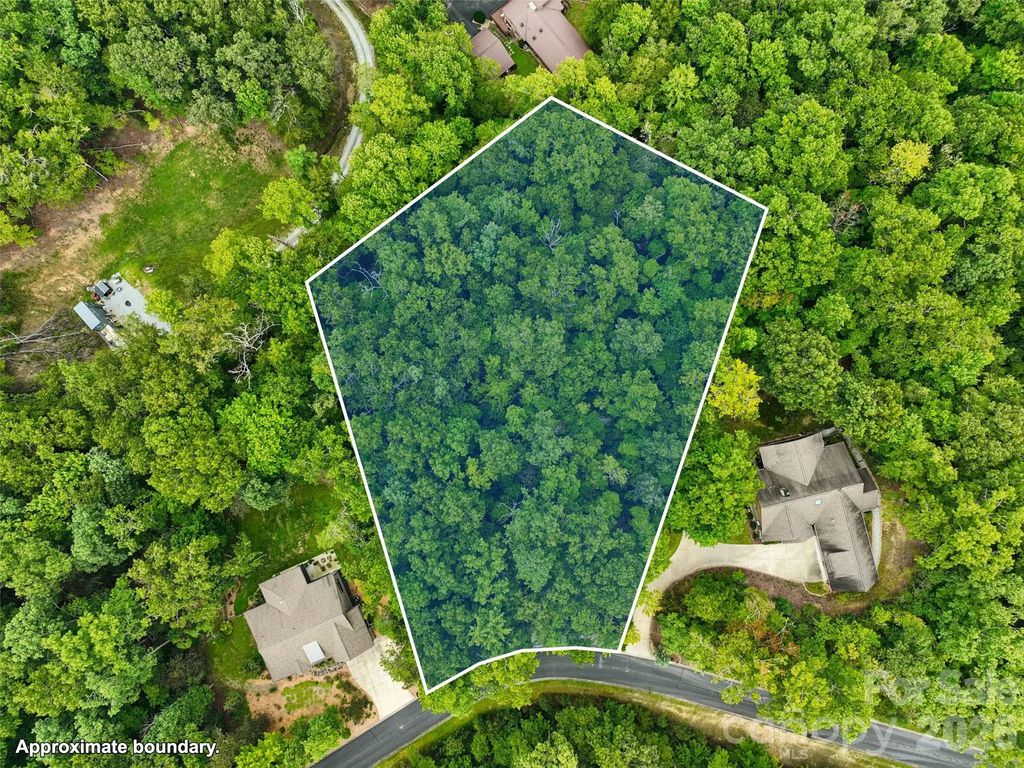 230 Shining Rock Path 64, Horse Shoe