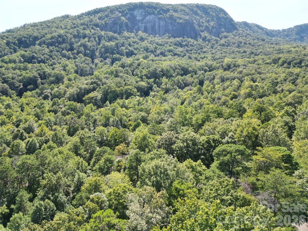 Lot 124, 125, & 101 Banjo Court, Lake Lure