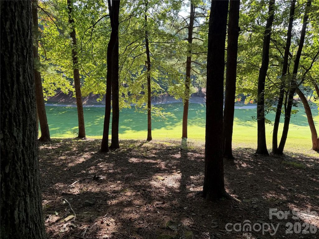 121 Bobby Jones Drive 48, Hendersonville
