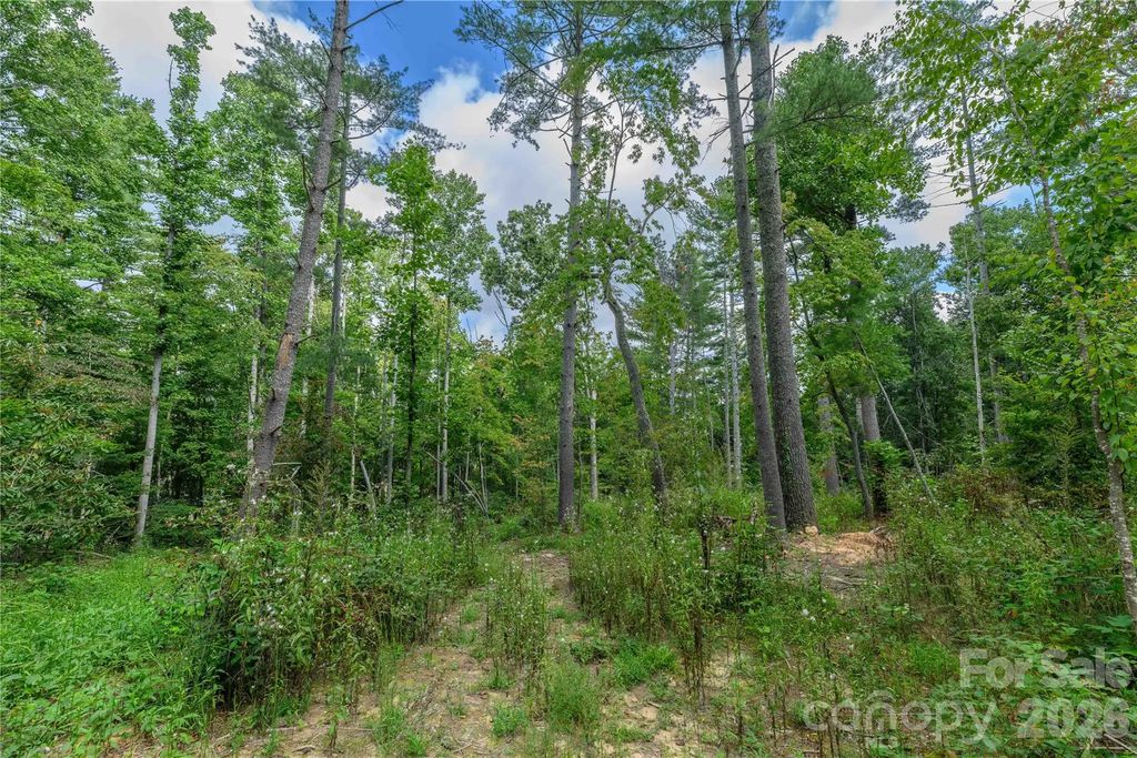 9999 Old Concord Road 3, Fletcher