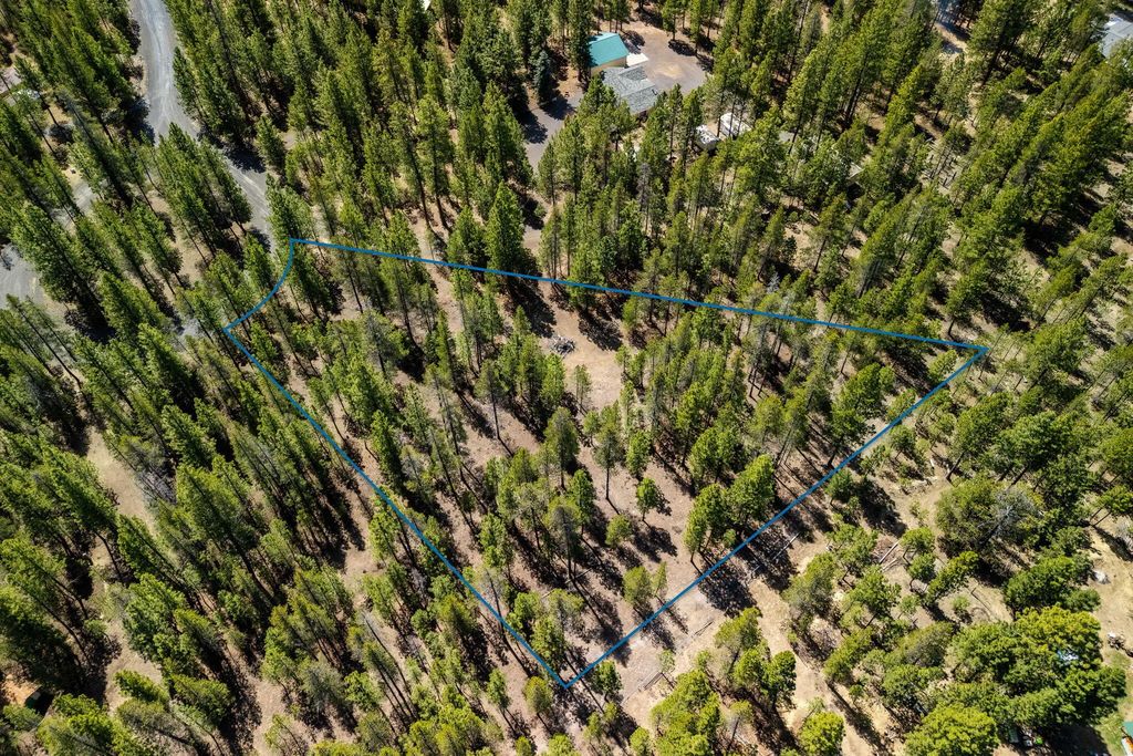 51861 Knobcone, La Pine