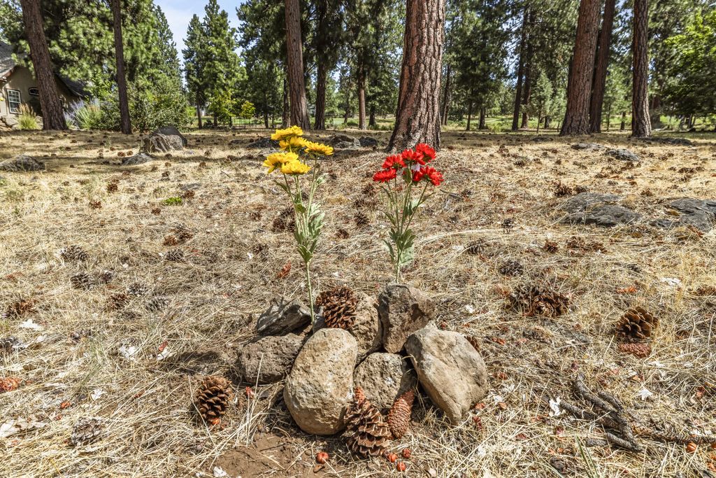 10697 Merganser Road 62, Klamath Falls
