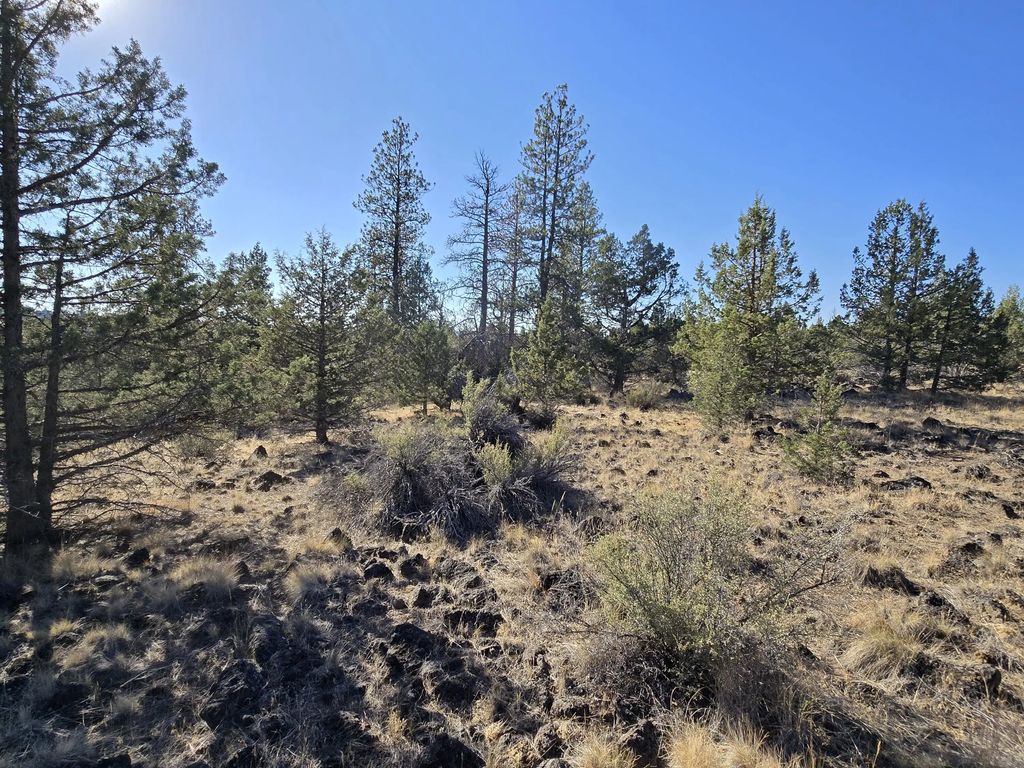 Blue Heron Drive, Bonanza