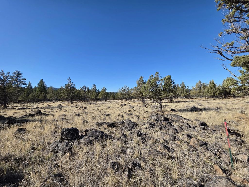 0 Cedar Trail 4008-01700-0900, Klamath Falls