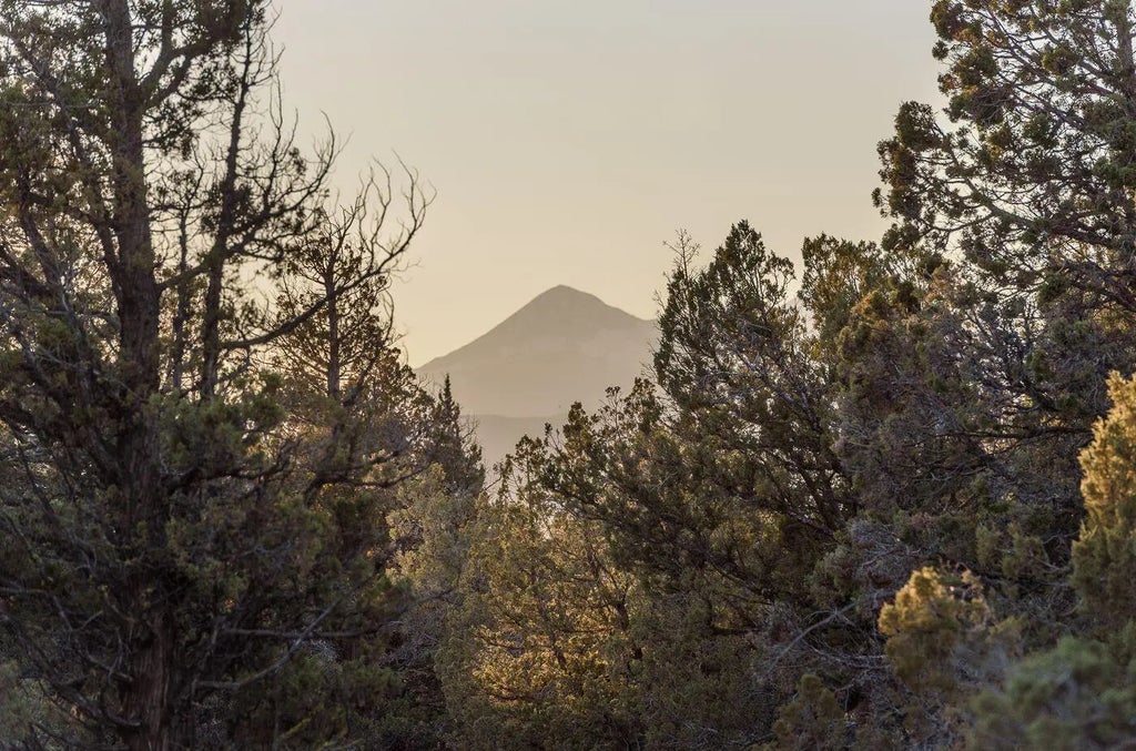 63805 Cricketwood Road, Bend