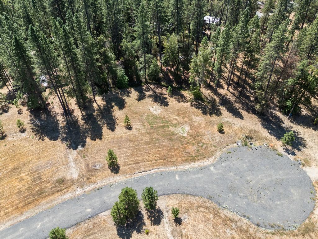 253 Deruyte Way, Rogue River