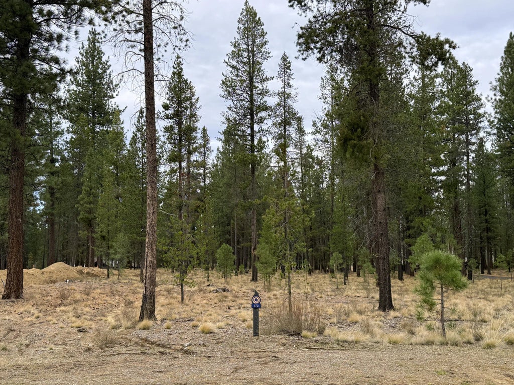 17745 Preservation Loop 472, Bend