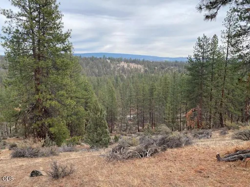 0 Widgeon Dr, Bonanza