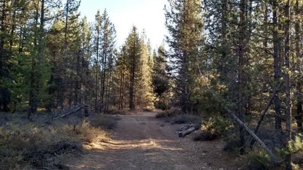 4800 Bear Flat (nf 86), Chemult