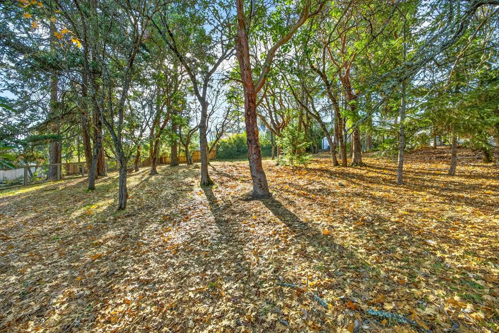 961 Pinecrest Terrace, Ashland