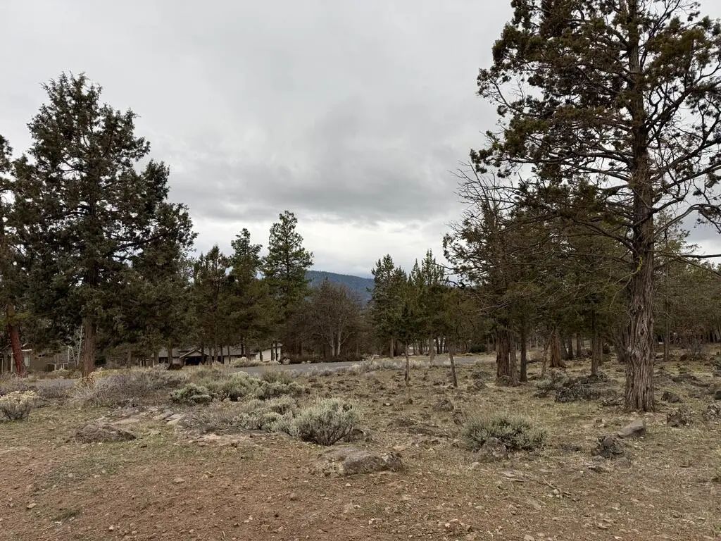 0 Dowitcher Road Lot 533, Klamath Falls