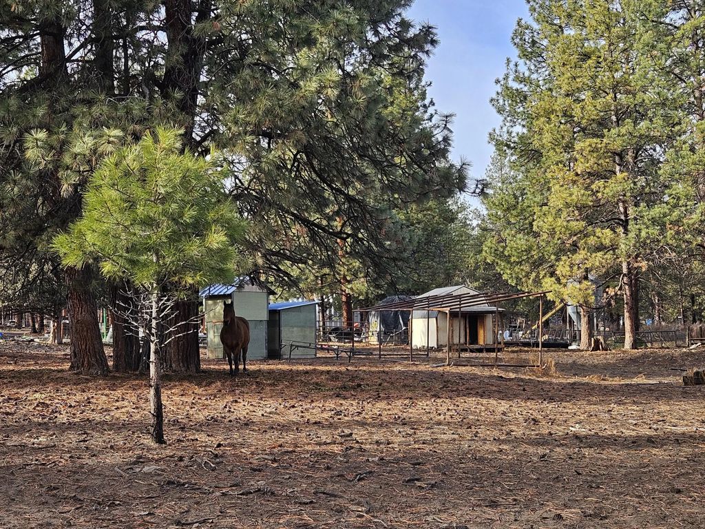 6232 Bufflehead Drive, Bonanza