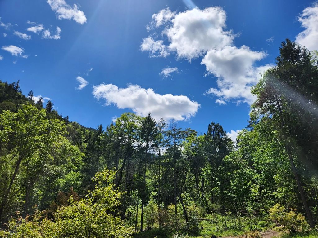 2905 Birdseye Creek Road, Gold Hill