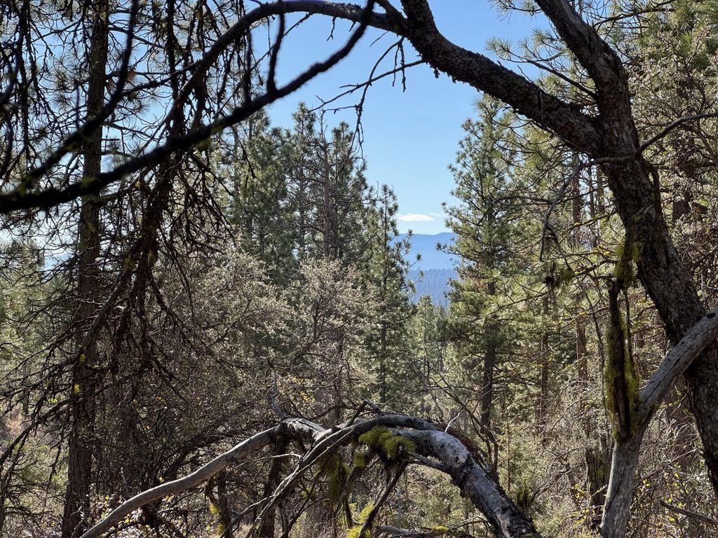 0 Chamois Circle 1, Bonanza