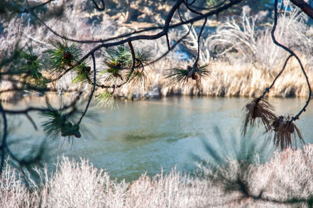 2201 Nw Lakeside Place, Bend