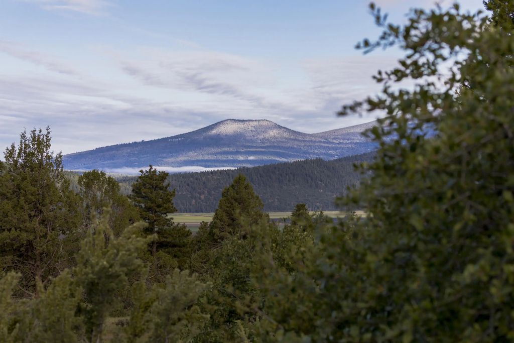 996 Abbott Mountain Way, Klamath Falls