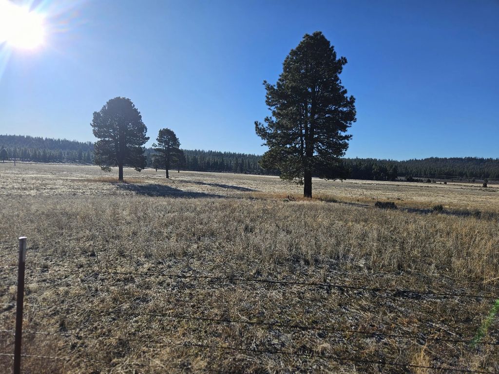 31747 Godowa Springs Road, Beatty