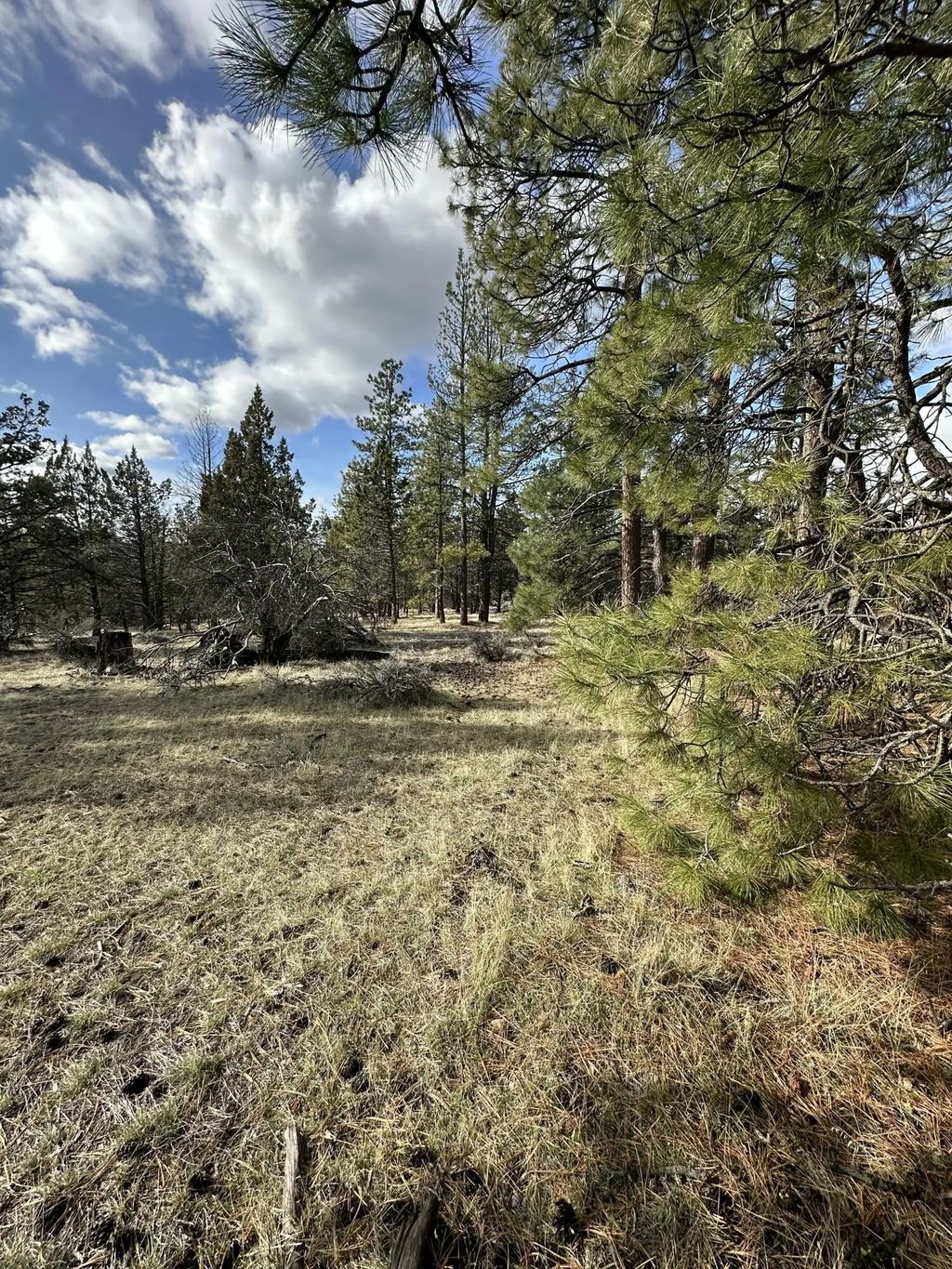 0 Widgeon Drive Lot 3, Bonanza